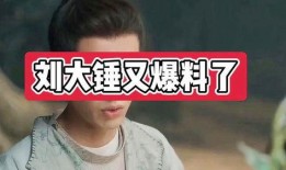 刘大锤最新爆料男团是谁,当红男团阵容大曝光！