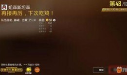 绝地求生最新爆料代码,神秘代码揭示未来游戏新玩法与更新内容