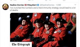 新冠英国爆料最新消息,最新揭露疫情真相与挑战