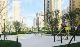 吉碳小区爆料视频最新,揭秘小区内幕，真相令人震惊！