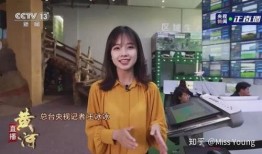 最新爆料女记者是谁啊,最新爆料女记者身份大起底