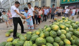 郑州新瓜最新爆料,揭秘郑州最新热点事件背后的真相