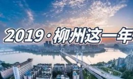 柳州热点爆料事件最新,真相竟如此惊人！