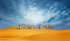 最新沙漠爆料新闻报道,最新爆料揭示神秘沙漠现象