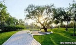 成都公园舆论爆料案例最新,一场网络热议背后的真相与反思