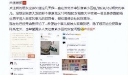 晋江阿香爆料事件最新消息,最新进展揭秘，真相逐渐浮出水面