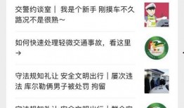 日本投票爆料视频大全最新,最新视频大全深度解析