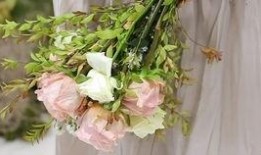 花篮网爆料最新视频,精彩瞬间不容错过